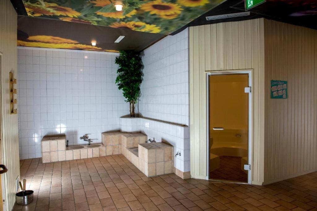 Apartment Brockenblick Mit Tollen Blick Und Schwimmbad ブラウンラーゲ エクステリア 写真